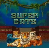 Supercats на Вулкан